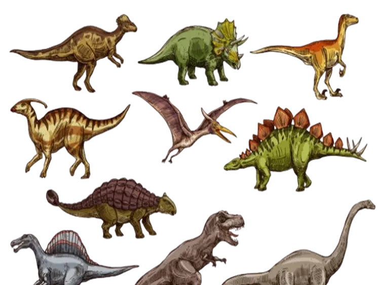 dinosaur-removebg-preview.png