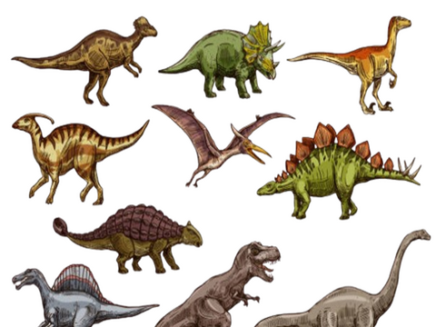 dinosaur-removebg-preview.png